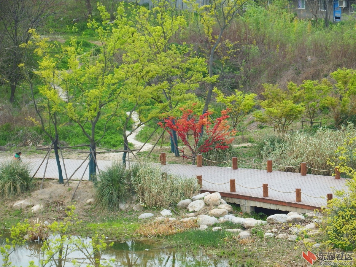 DSCF3685_副本.jpg