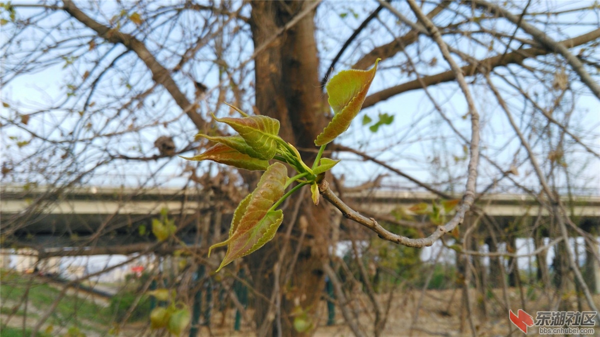 IMG_20160328_173134_副本.jpg