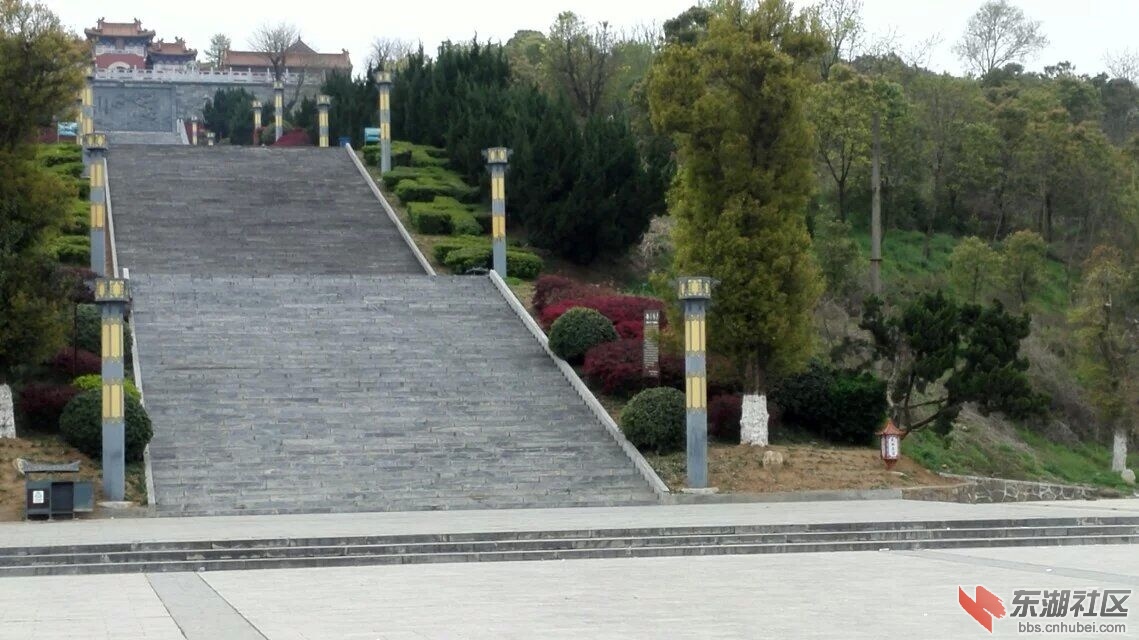 309.jpg