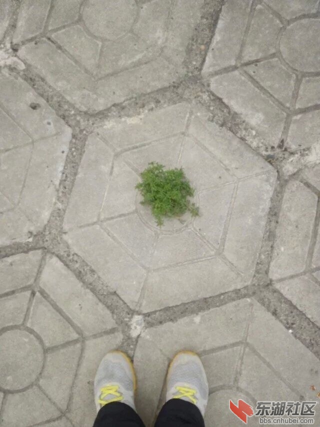 317.jpg