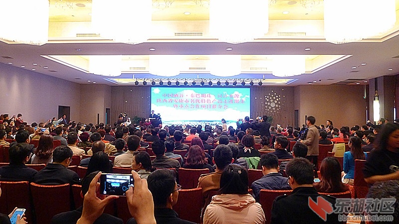 P2030520.JPG