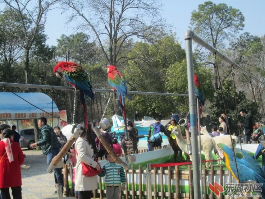 181.jpg