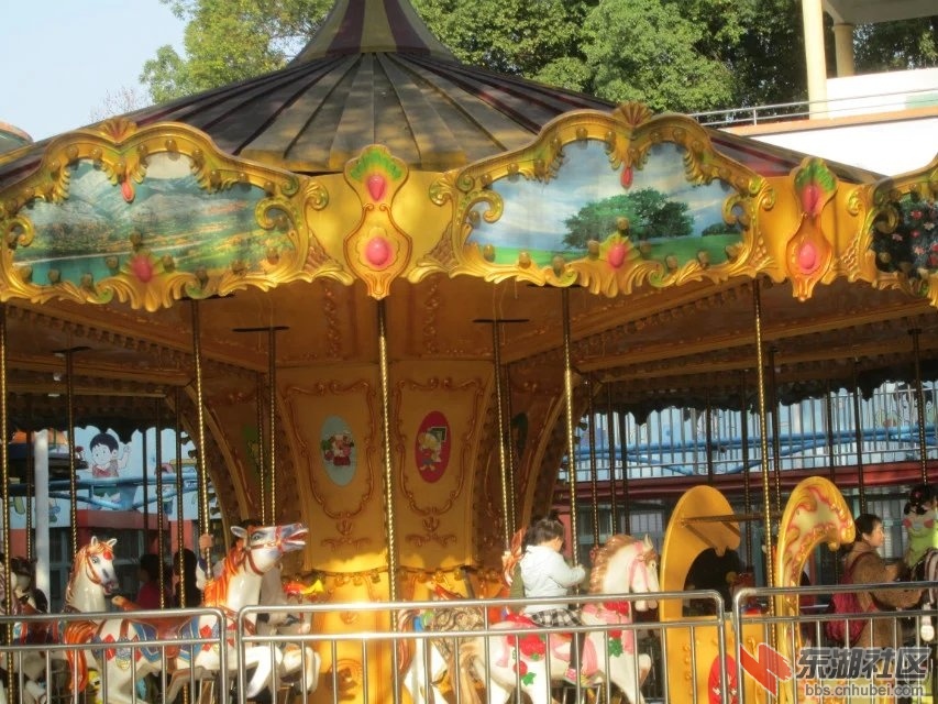 196.jpg