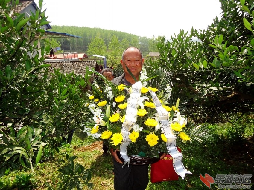 DSC06653_conew2.jpg