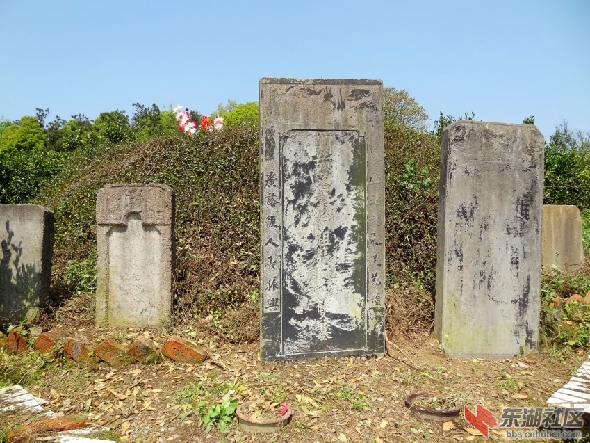 DSC06656_conew2.jpg