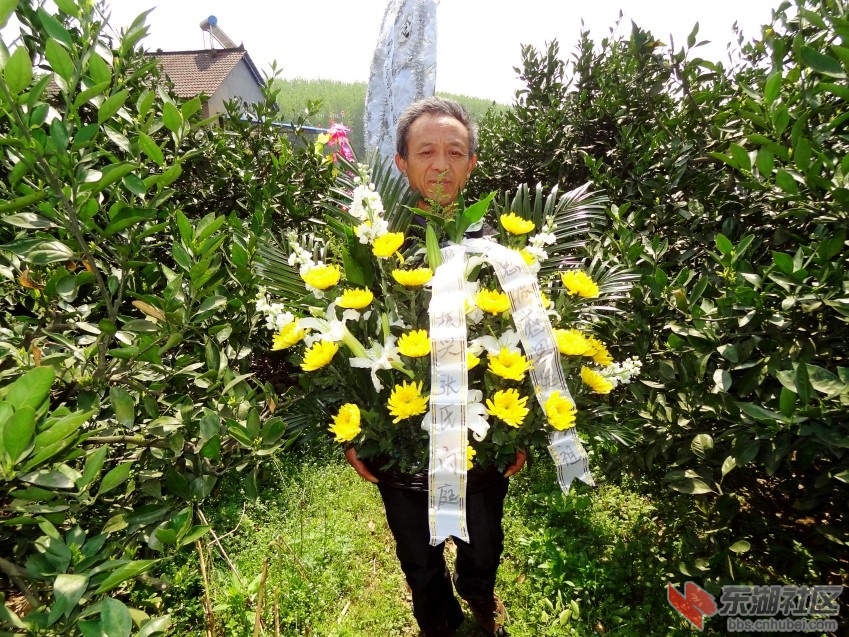 DSC06655_conew2.jpg