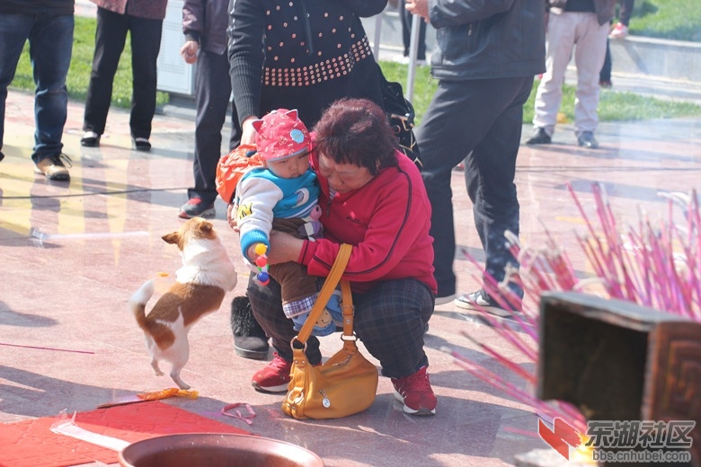 IMG_0527_副本.jpg