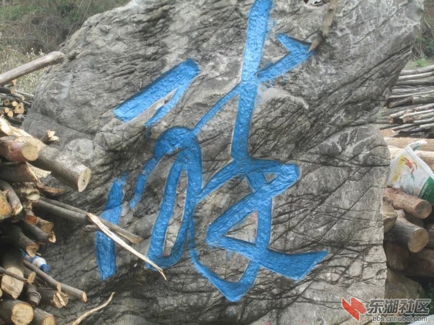 601.jpg
