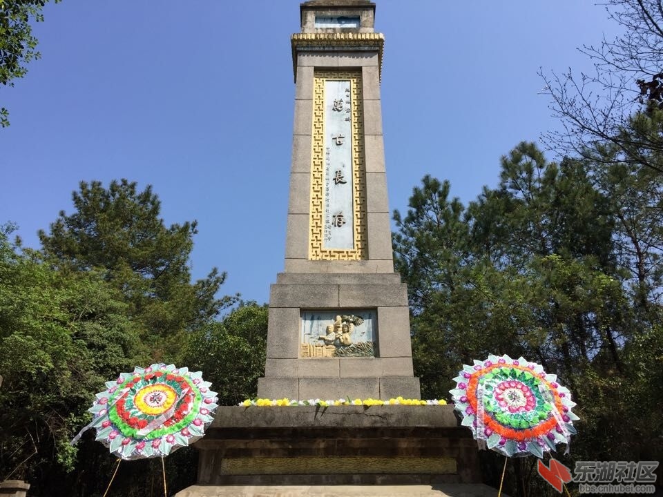 QQ图片20160405090816.jpg