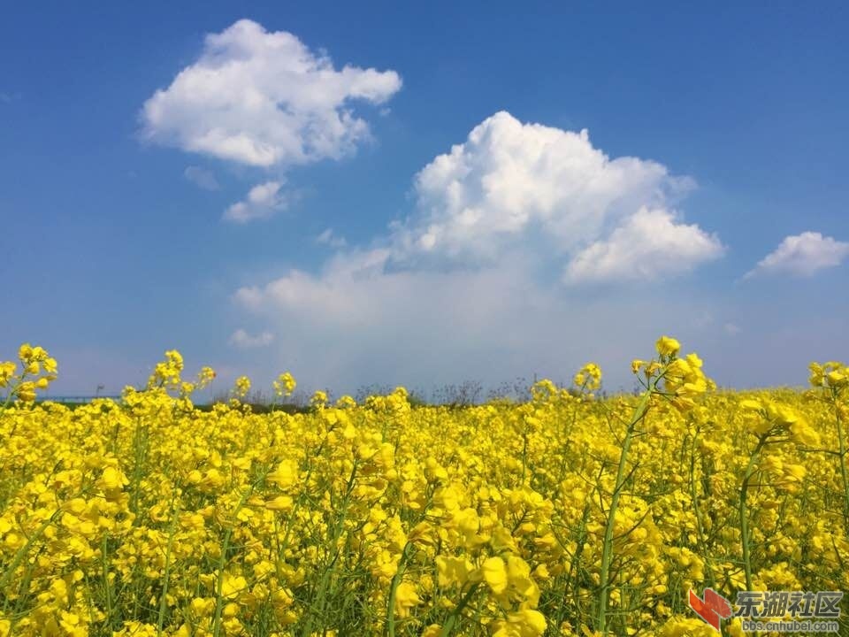 QQ图片20160405093000.jpg