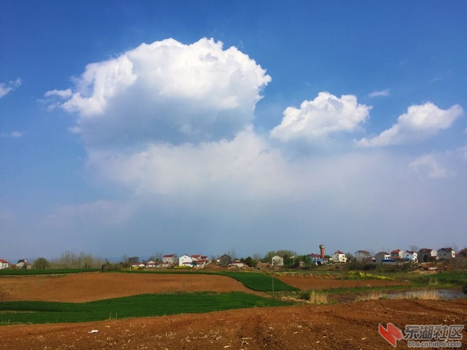 QQ图片20160405094021.jpg