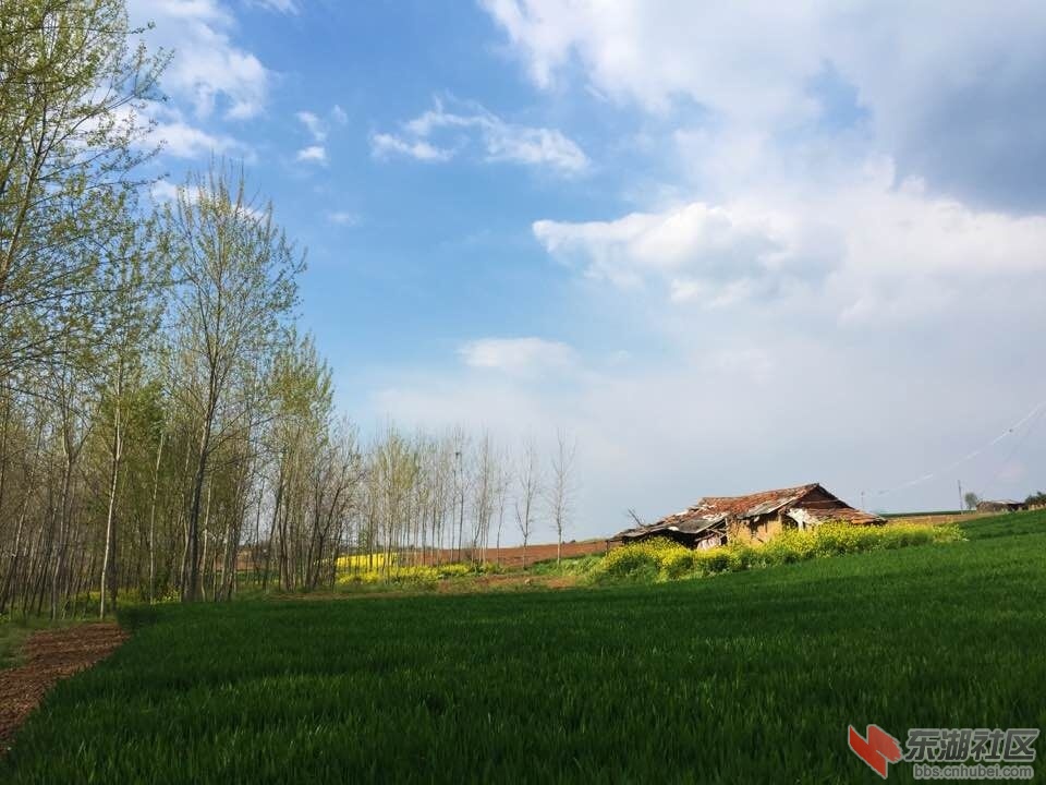 QQ图片20160405092952.jpg