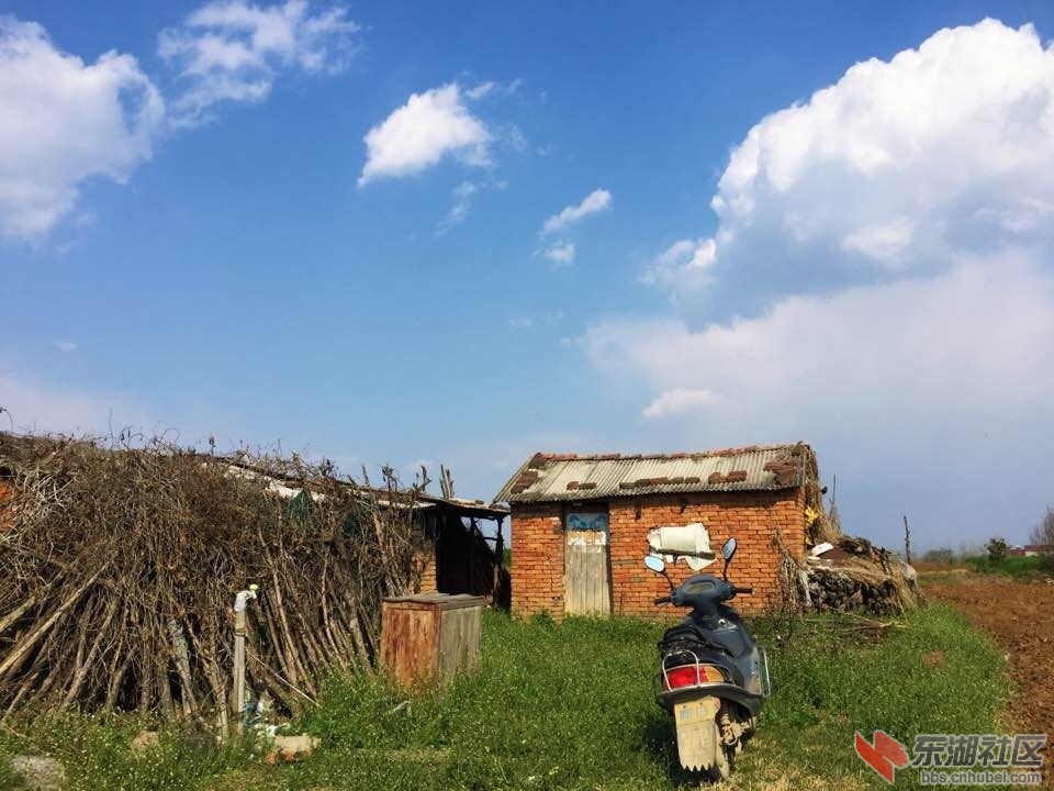 QQ图片20160405093006.jpg