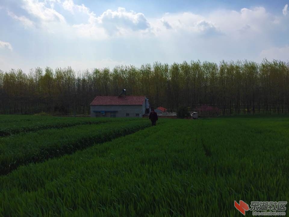 QQ图片20160405092949.jpg