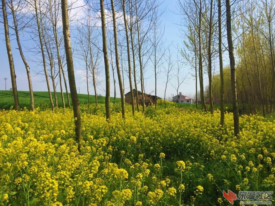 QQ图片20160405093009.jpg