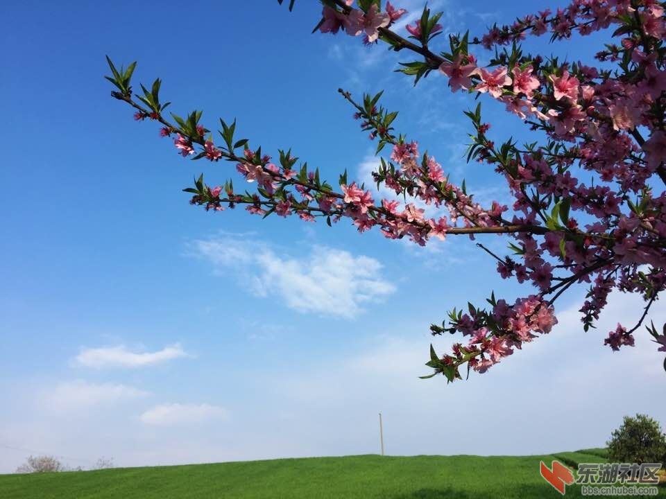 QQ图片20160405093033.jpg