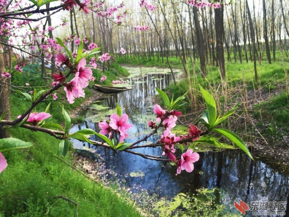 QQ图片20160405093036.jpg