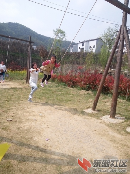 IMG_20160402_110830.jpg