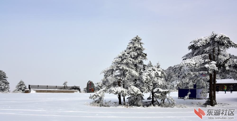 DSC_7555.jpg