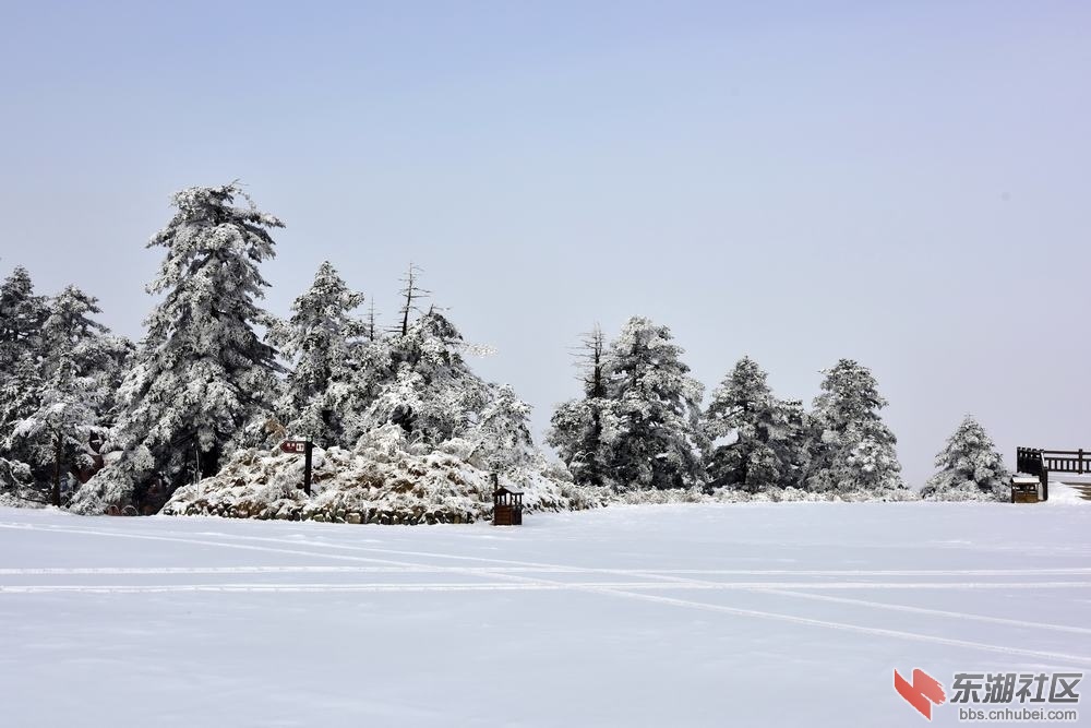 DSC_7557.jpg