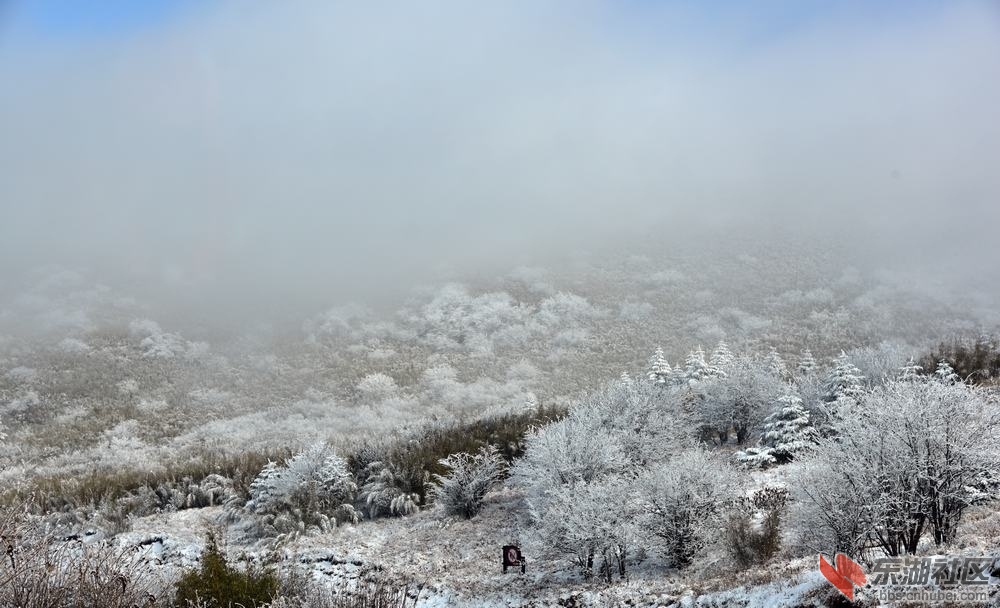 DSC_7590.jpg