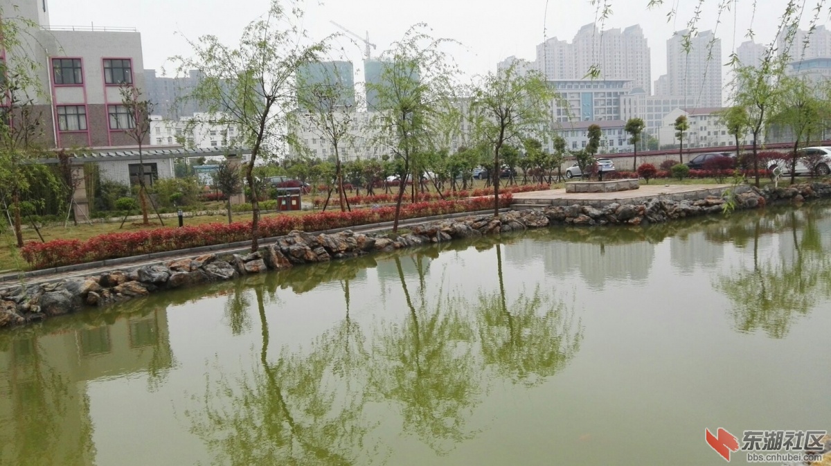 0406_9.jpg