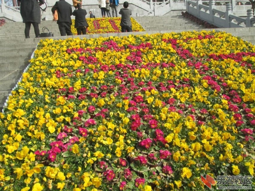 390.jpg