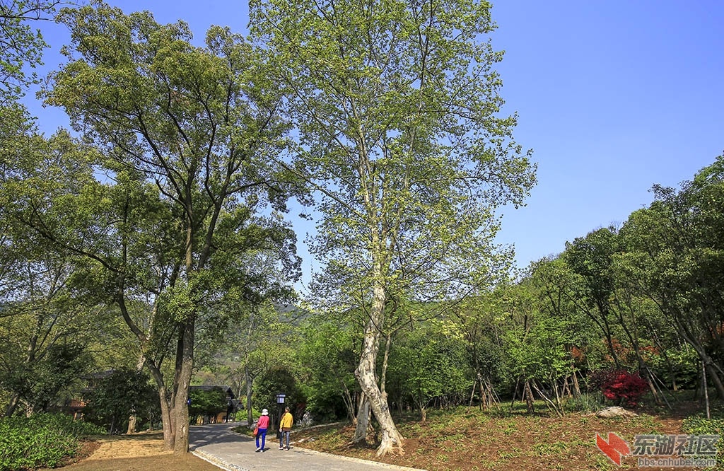 IMG_9201副本.jpg