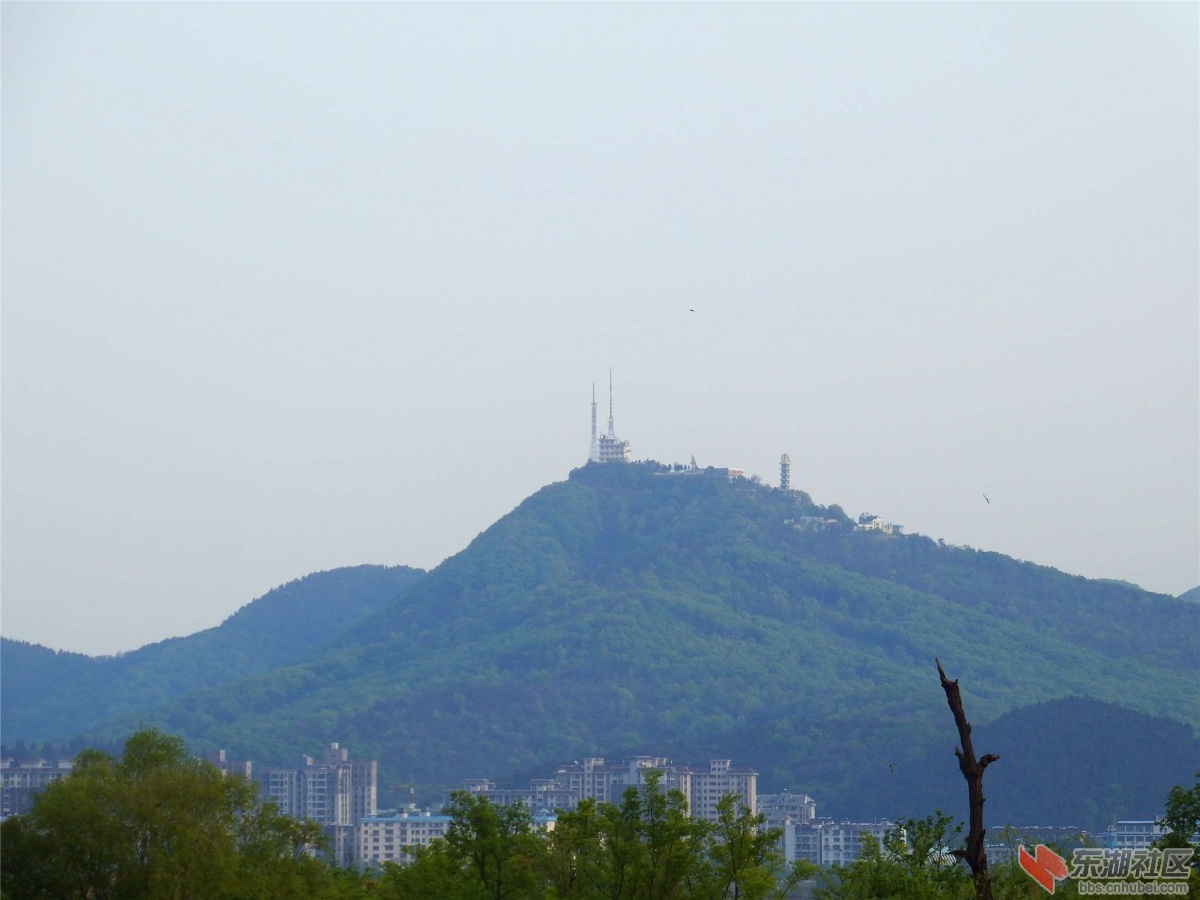 DSCF4765_副本.jpg