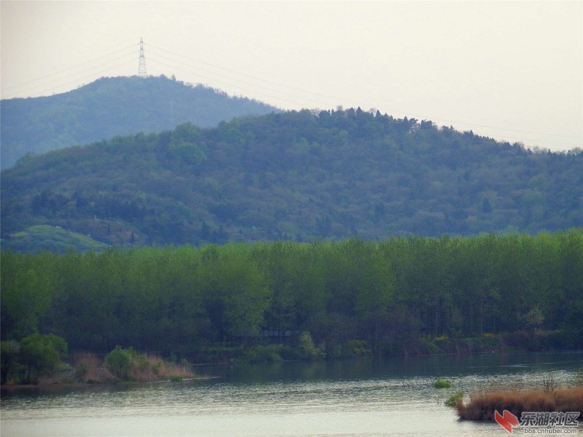 DSCF4795_副本.jpg