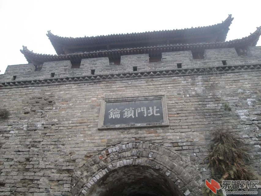 446.jpg
