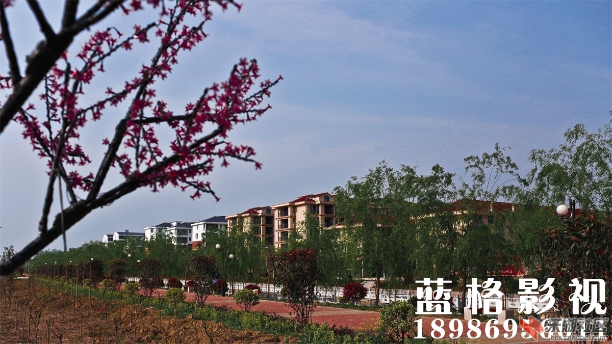 _MG_6906.jpg