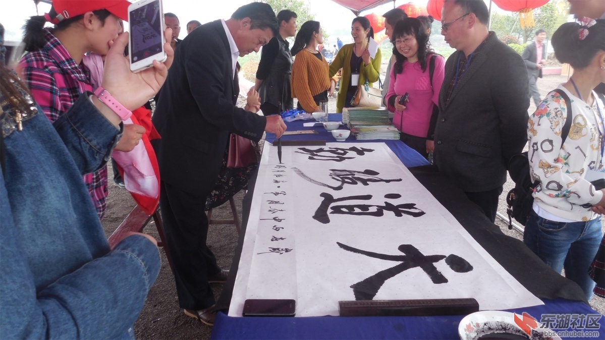 DSCN7517.JPG