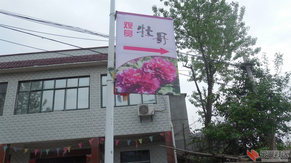 DSCN7509.JPG