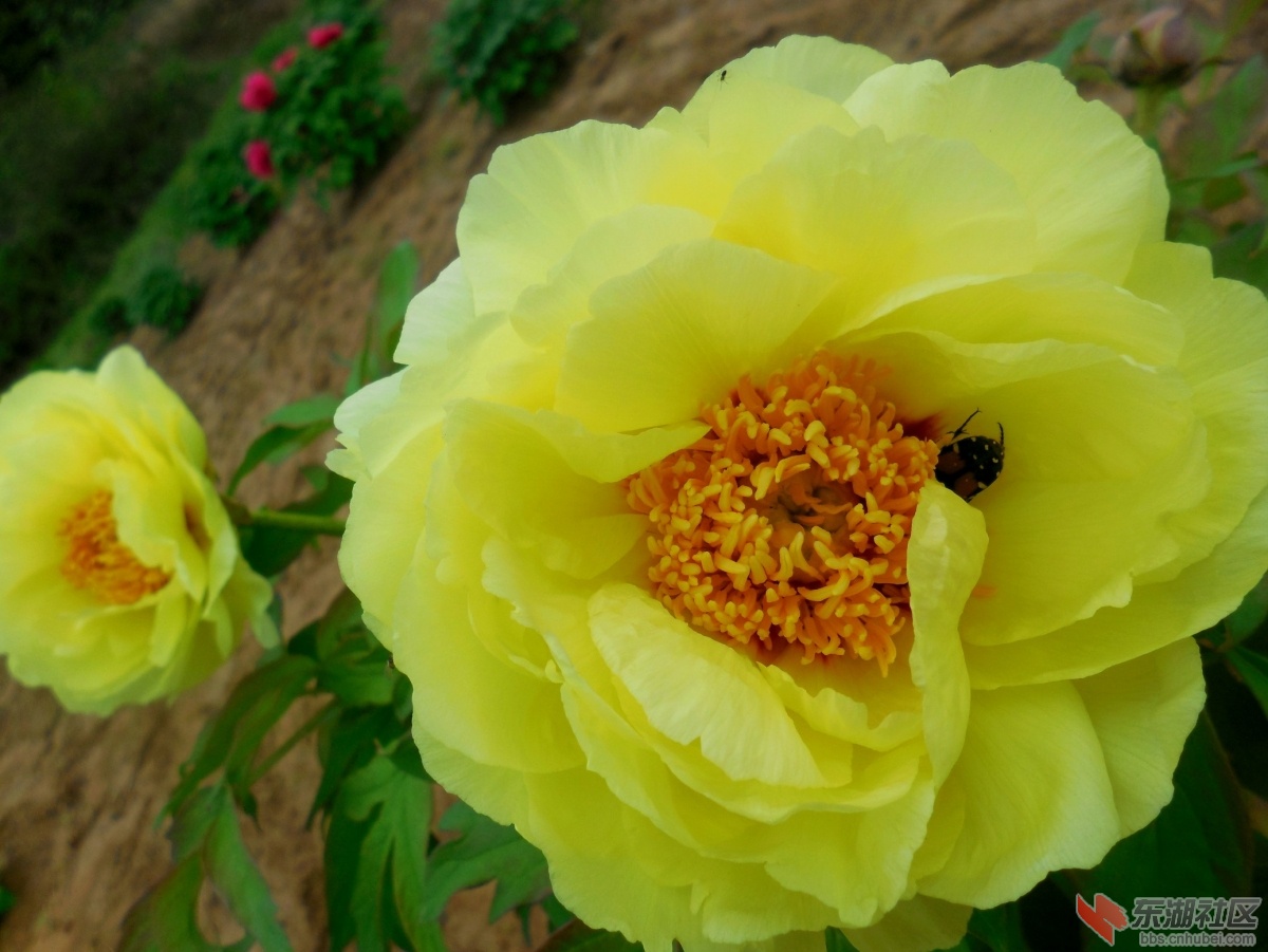 DSCN7540a.jpg