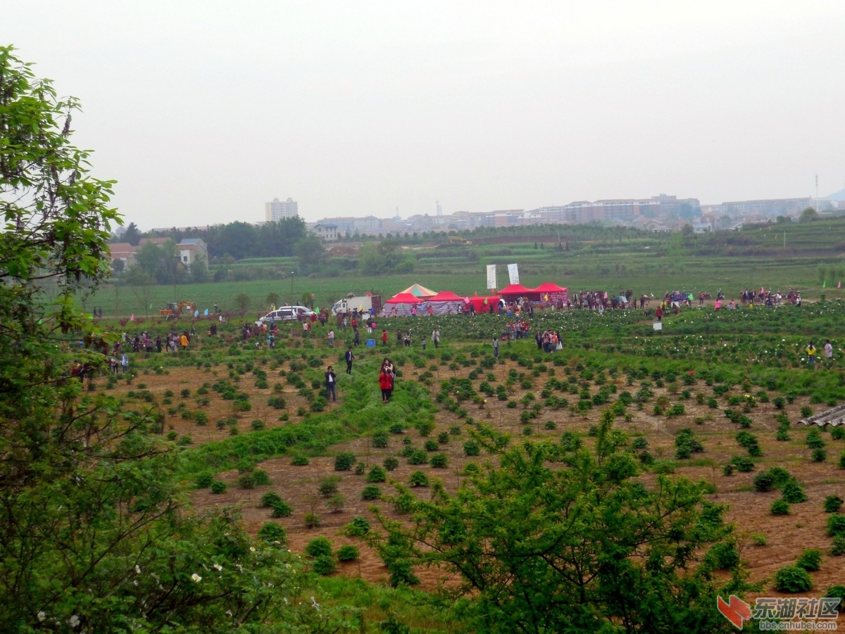DSCN7554a.jpg