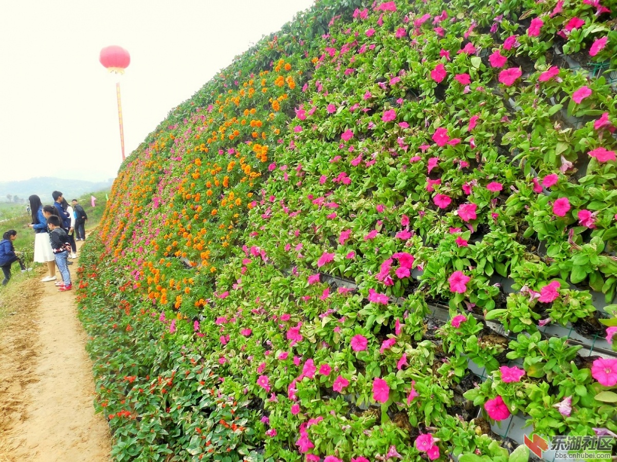 DSCN7563a.jpg