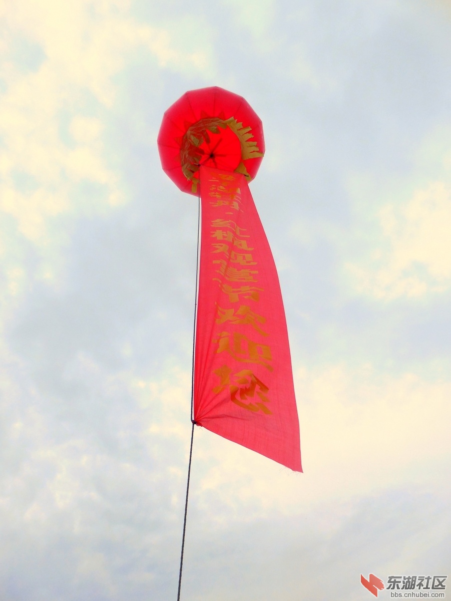 DSCN7564a.jpg
