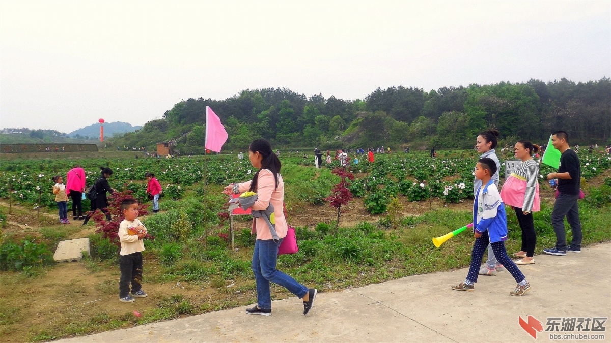 DSCN7573a.jpg