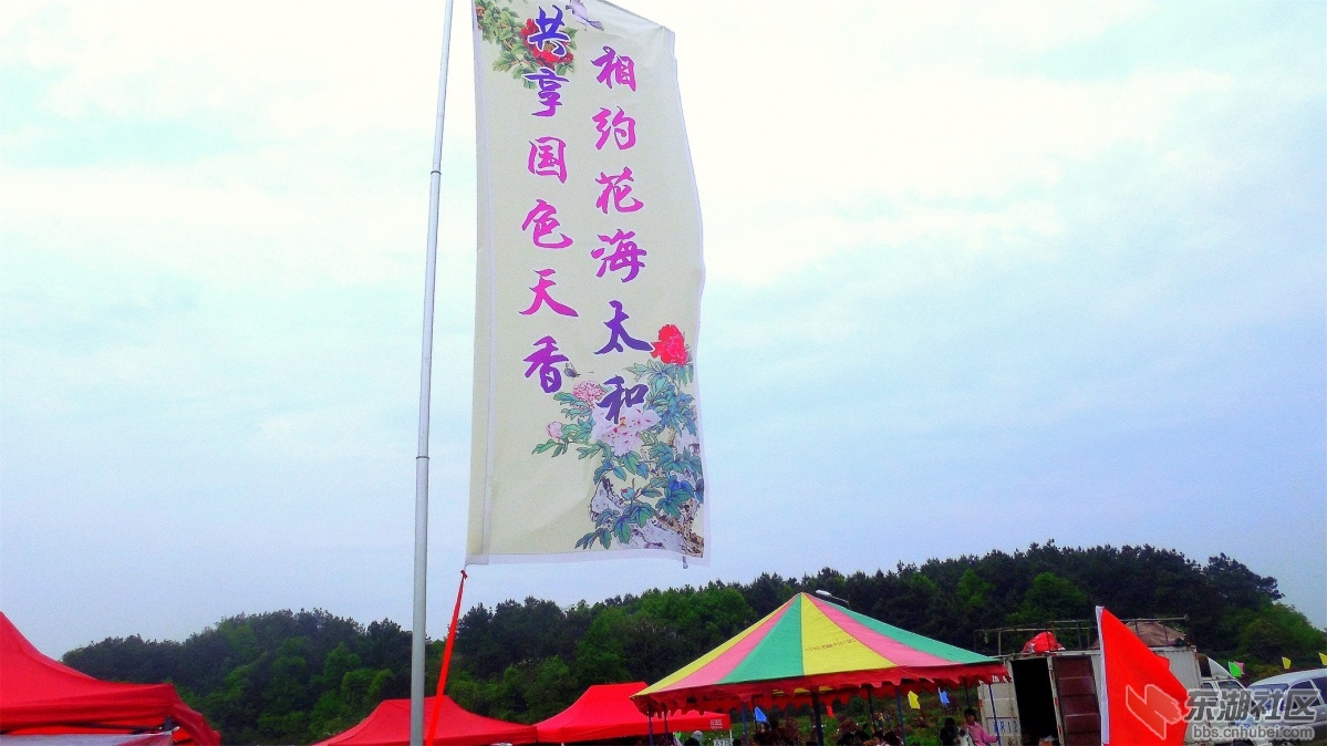 DSCN7575a.jpg