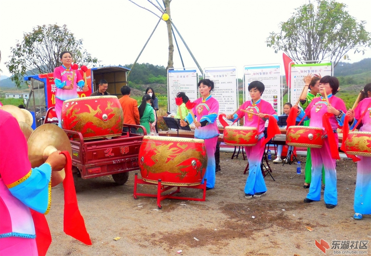 DSCN7660a.jpg
