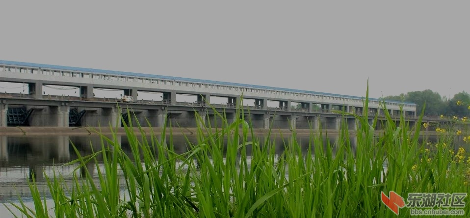 psb (34)_meitu_1.jpg