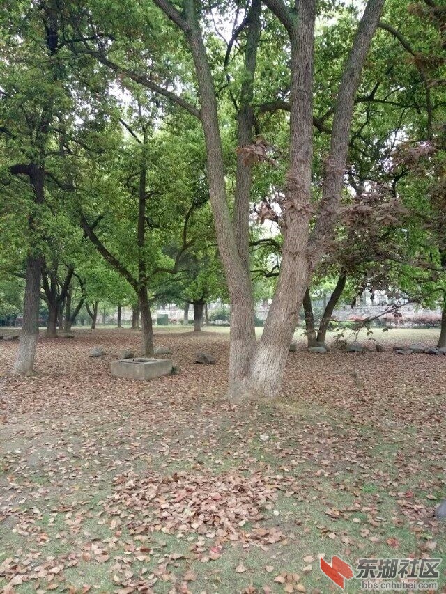 611.jpg