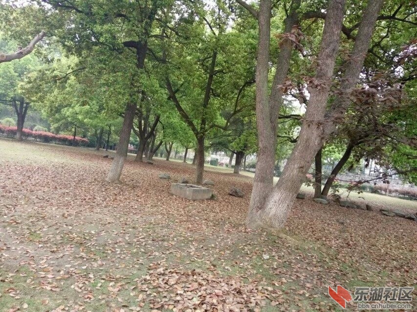 612.jpg