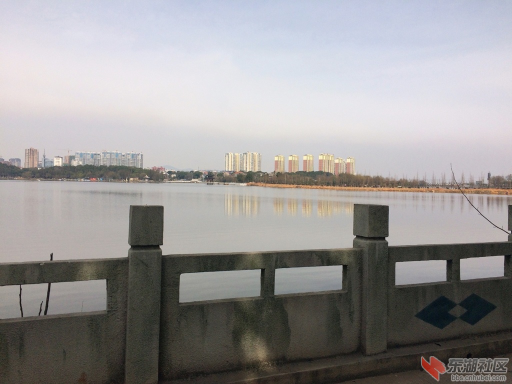 红星湖南边 (1).jpg