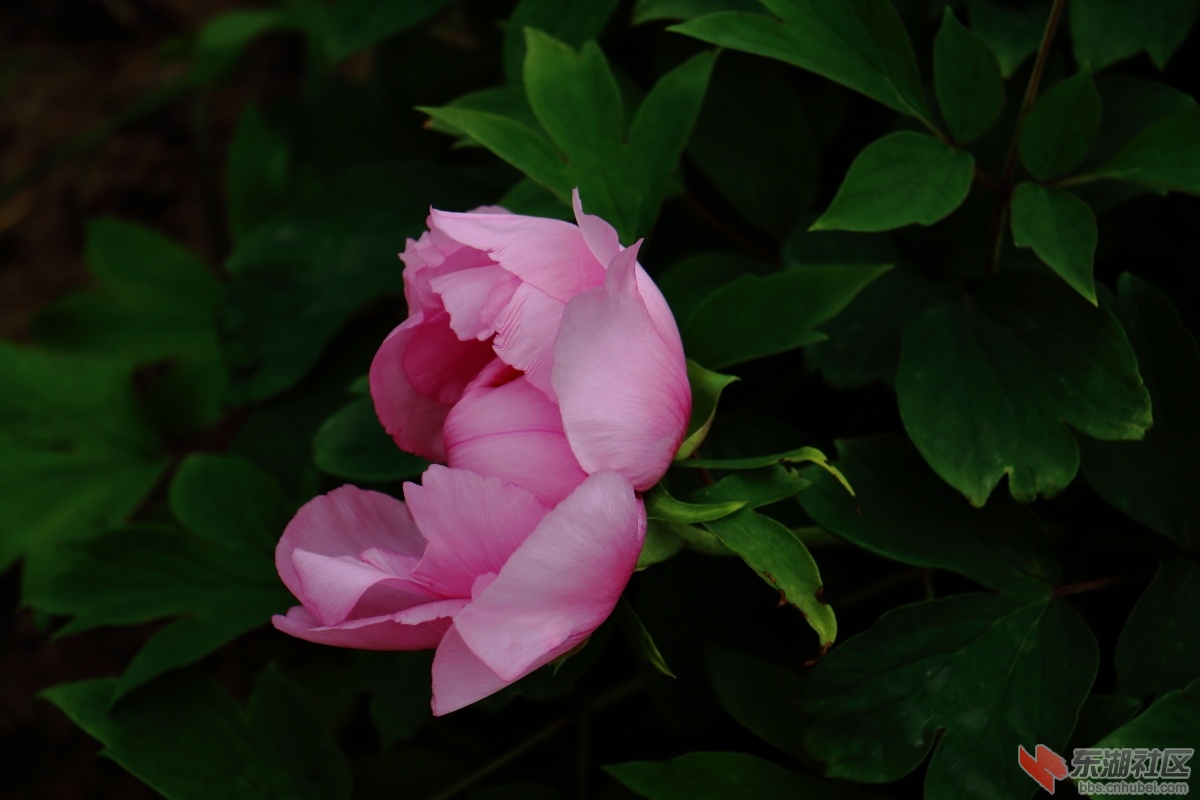 IMG_3997.JPG