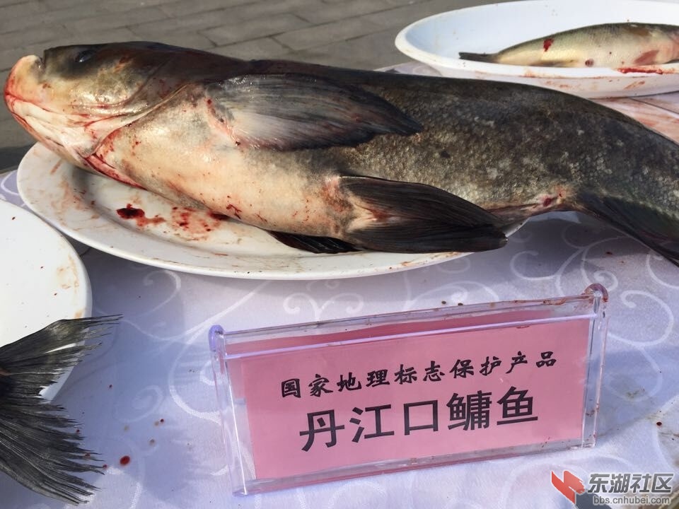 QQ图片20160411160309.jpg