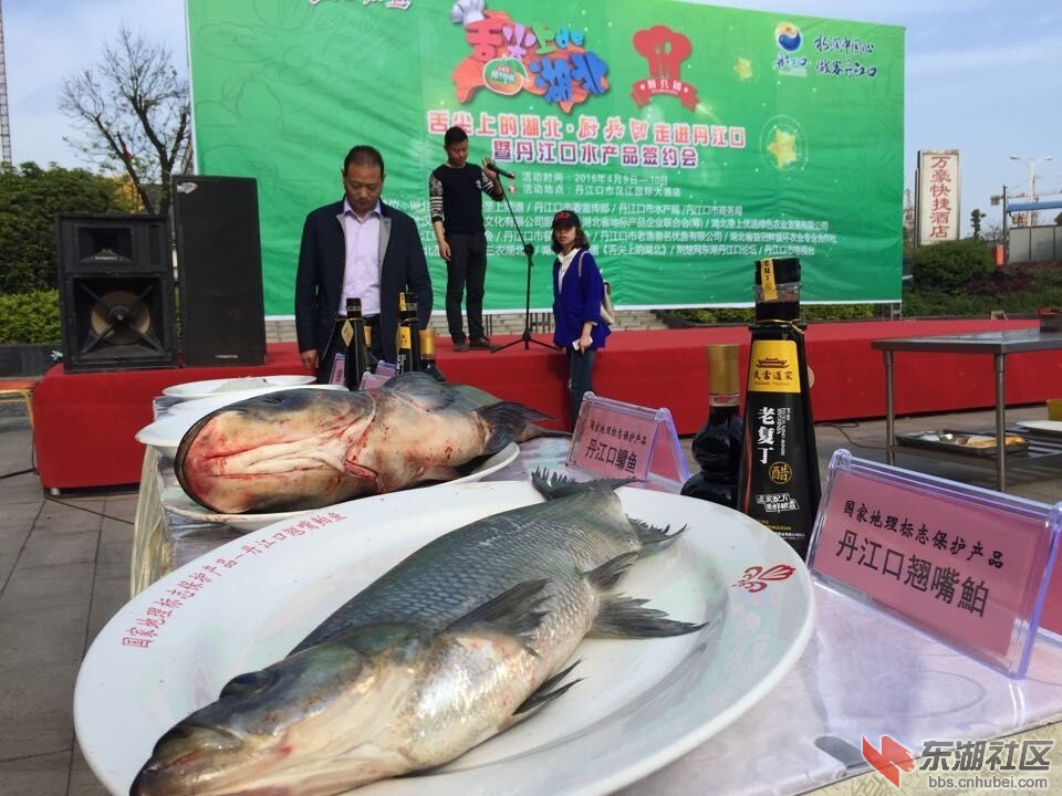 QQ图片20160411160824.jpg