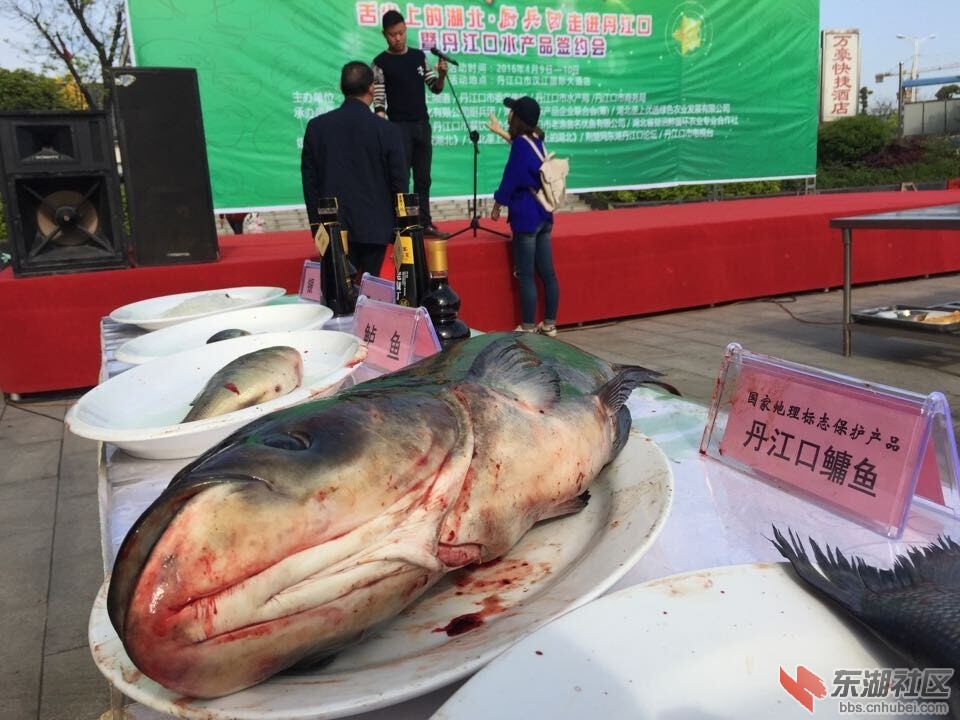 QQ图片20160411160835.jpg