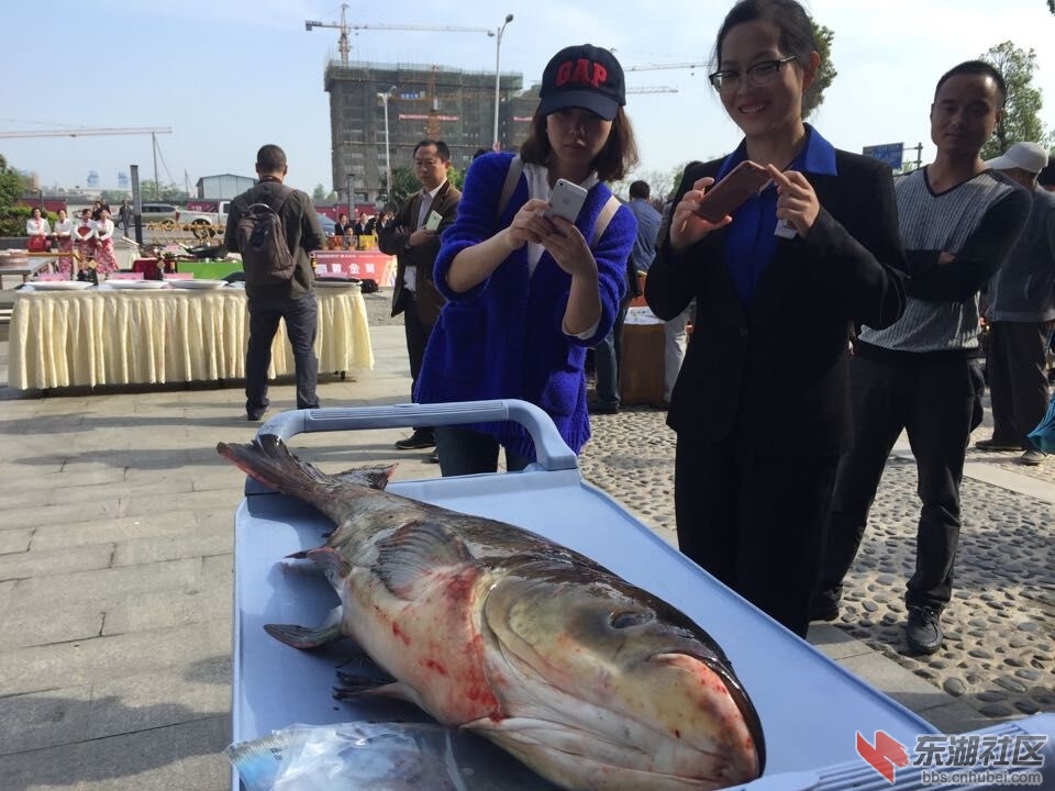 QQ图片20160411155346.jpg